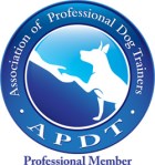 APDT_Prof_COLOR